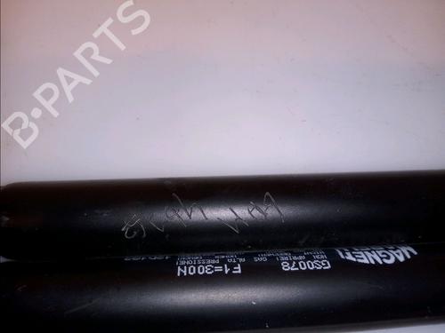 Tailgate lift support FIAT PUNTO (176_) 55 1.1 | BP14880230C138 