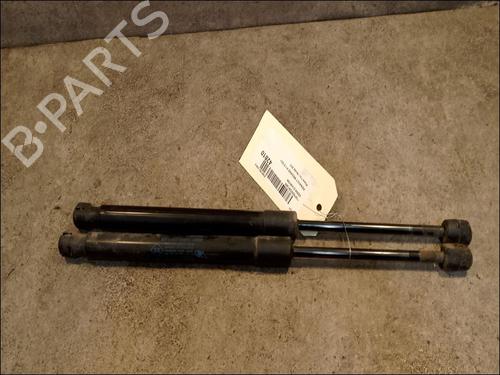 Used Tailgate lift support RENAULT MEGANE III Hatchback (BZ0/1_, B3_) 1.5 dCi (BZ09, BZ0D, BZ1W, BZ29, BZ14) (110 hp) 14880069