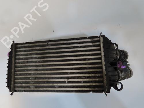 Intercooler Intercooler FORD FOCUS C-MAX (DM2) 1.6 TDCi (109 hp) 36493274 36493274