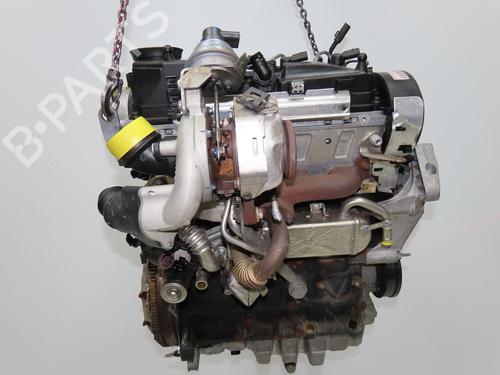 Engine VW GOLF VI (5K1) 1.6 TDI | BP39541887M1 - Image 6