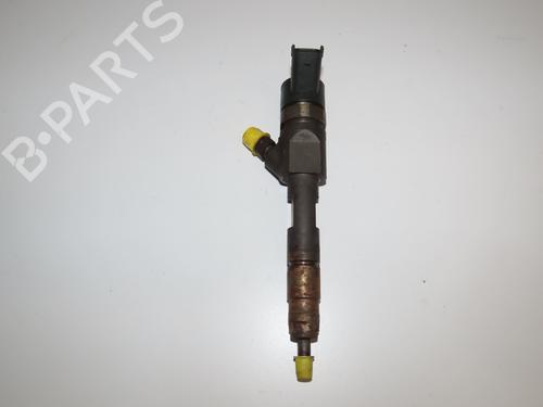 Injector RENAULT SCÉNIC III (JZ0/1_) 1.9 dCi (JZ0J, JZ1J, JZ1K, JZ1S) | BP30916875M100
