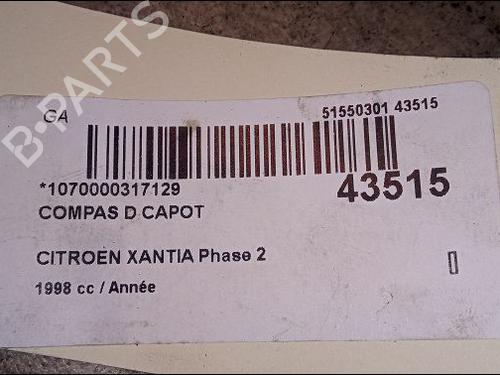 Hinge/Door check strap CITROËN XANTIA (X1_, X2_) 2.1 Turbo D 12V | BP14878972C146 