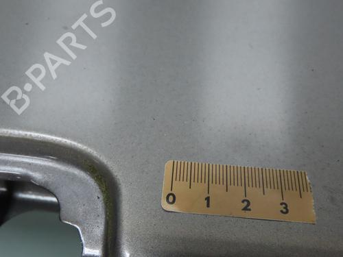 Tailgate RENAULT SCÉNIC III (JZ0/1_) 1.5 dCi | BP28832193C6 