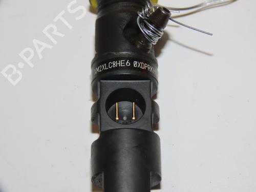 Injector RENAULT CLIO III (BR0/1, CR0/1) 1.5 dCi | BP28828915M100