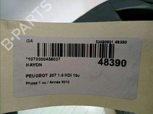 Used Tailgate PEUGEOT 207 (WA_, WC_) 1.6 HDi (90 hp) 15076815