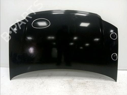 Used Hood FIAT PANDA (169_) 1.3 D Multijet (169.AXC1A) (70 hp) 18646070