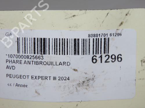 right-front-fog-light-peugeot-expert-van-v_-2016-40050886 main image