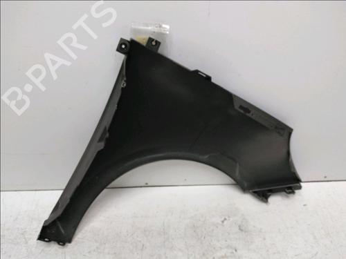 Left front fenders RENAULT SCÉNIC III (JZ0/1_) 1.6 dCi (JZ00, JZ12) | BP19326549C41 