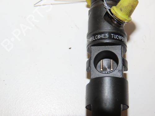 Injector RENAULT CLIO III (BR0/1, CR0/1) 1.5 dCi | BP28828868M100 