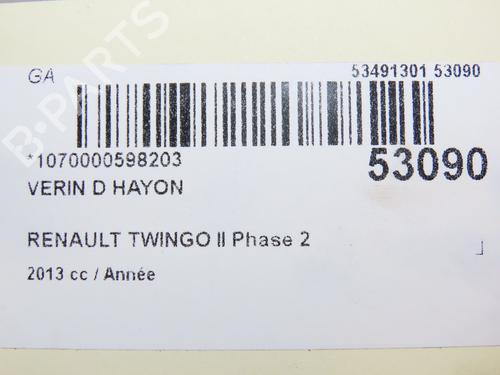 Gassdemper Bakluke RENAULT TWINGO II (CN0_) 1.6 RS (CN0N, CN0R, CN0S) | BP28832291C138 