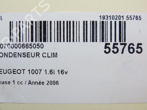 Heater matrix PEUGEOT 1007 (KM_) 1.6 16V | BP30893419M63