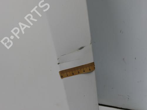 Hood RENAULT MASTER III Van (FV) 2.3 dCi 125 FWD (FV0C, FV0D, FV0G, FV0H, FV0J, FV0K,... | BP28831003C1