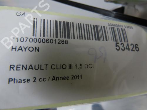 Used Tailgate RENAULT CLIO III (BR0/1, CR0/1) 1.5 dCi (88 hp) 28832175