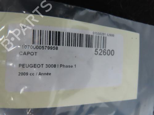 Capot Capot PEUGEOT 3008 I MPV (0U_) 1.6 VTi (120 hp) 28831024 28831024