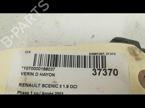 Used Tailgate lift support RENAULT SCÉNIC II (JM0/1_) 1.9 dCi (JM0G, JM12, JM1G, JM2C) (120 hp) 23177362