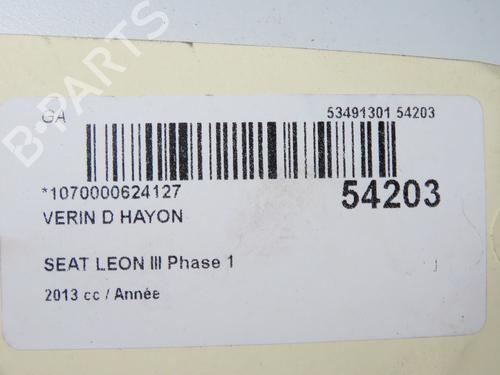 tailgate-lift-support-seat-leon-5f1-2012-2013-2014-2015-2016-2017-2018-2019-2020-2021-29601125 main image