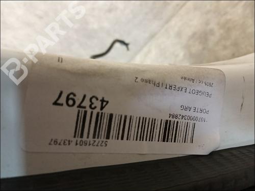 Left rear door PEUGEOT EXPERT (224_) 2.0 HDi | BP10053352C4 