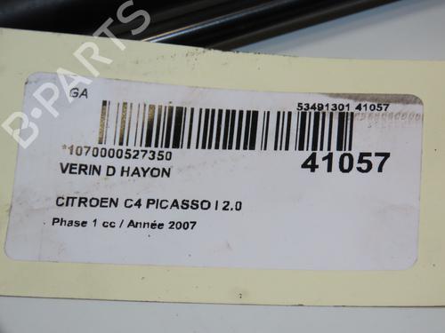 Tailgate lift support CITROËN C4 Picasso I MPV (UD_) 2.0 HDi 138 | BP17868587C138 