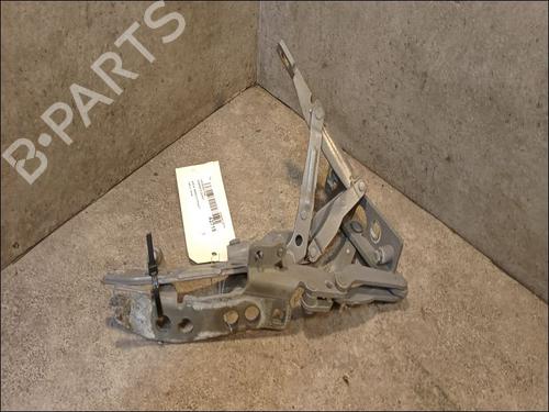 Used Hinge/Door check strap BMW 5 (E39) 530 d (184 hp) 14878962
