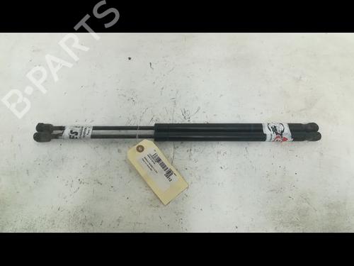 Used Tailgate lift support RENAULT GRAND SCÉNIC II (JM0/1_) 1.5 dCi (JM1E) (106 hp) 14879823
