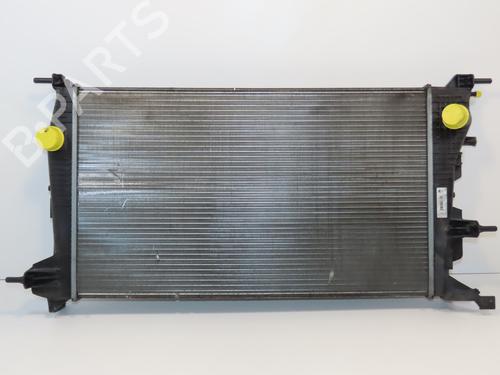 Water radiator RENAULT SCÉNIC III (JZ0/1_) 1.5 dCi | BP29294140M31 