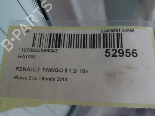 Tailgate RENAULT TWINGO II (CN0_) 1.2 16V (CN04, CN0B) | BP28969209C6 