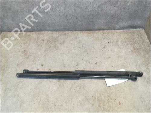 Used Tailgate lift support FORD FIESTA V (JH_, JD_) 1.4 TDCi (68 hp) 14879851