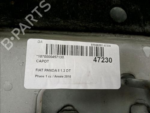 Used Hood FIAT PANDA (169_) 1.3 D Multijet (169.AXC1A) (70 hp) 18646070