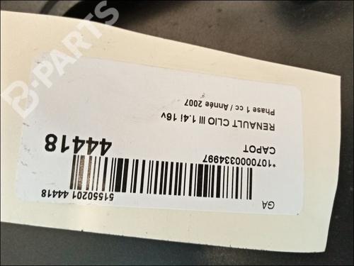 Hood RENAULT CLIO III (BR0/1, CR0/1) 1.4 16V | BP9821731C1