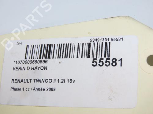 Tailgate lift support RENAULT TWINGO II (CN0_) 1.2 16V (CN0K, CN0V, CN0A) | BP32150815C138