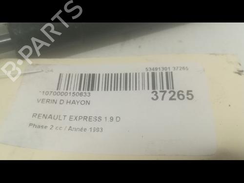 Gasdæmper bagklap RENAULT EXPRESS Box Body/MPV 1.9 D (64 hp) 14879732