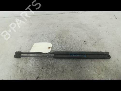 Used Tailgate lift support CITROËN C3 I (FC_, FN_) 1.4 16V HDi (90 hp) 14879919