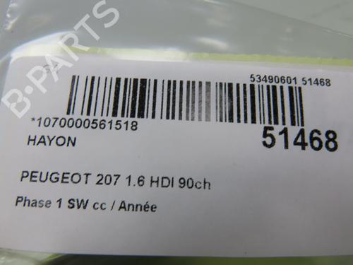 Used Tailgate PEUGEOT 207 SW (WK_) 1.6 HDi (90 hp) 26383727