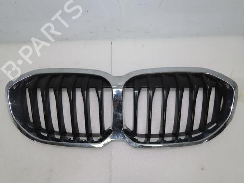 grille-bmw-1-f40-2019-31302738 main image