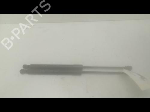 tailgate-lift-support-citroen-ds3-sa_-2009-2010-2011-2012-2013-2014-2015-2016-23177351 main image