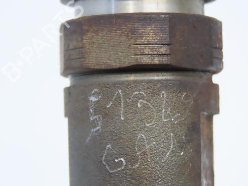 Injector FORD FOCUS II Turnier (DA_, FFS, DS) 1.6 TDCi | BP28801381M100