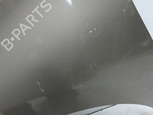 Left front fenders CITROËN C4 II (NC_) 1.6 BlueHDi 100 | BP31120635C41 