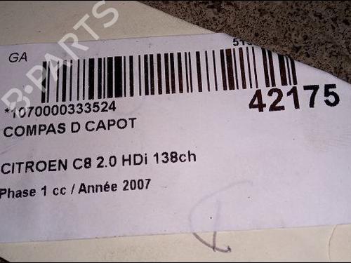 Hinge/Door check strap CITROËN C8 (EA_, EB_) 2.0 HDi 135 | BP14878950C146 