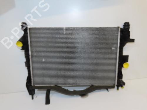Used Water radiator Water radiator FORD C-MAX II (DXA/CB7, DXA/CEU) 1.0 EcoBoost (125 hp) 40518002 40518002