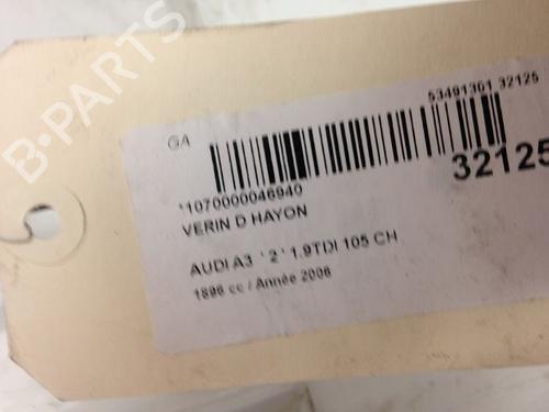 Tailgate lift support AUDI A3 (8P1) 1.9 TDI | BP14879555C138 