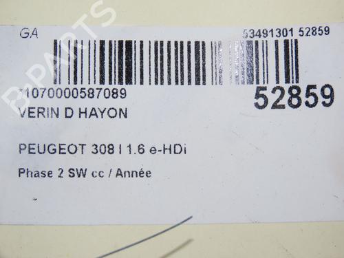 Tailgate lift support PEUGEOT 308 SW I (4E_, 4H_) 1.6 HDi | BP28969301C138 