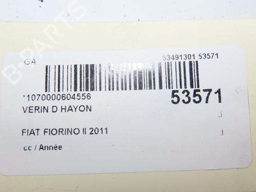 Tailgate lift support FIAT FIORINO MPV (225_) 1.3 JTD Multijet | BP29441815C138 
