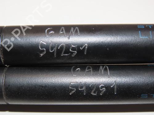 Gassdemper Bakluke RENAULT CLIO II (BB_, CB_) 1.5 dCi (B/CB08) | BP28969317C138 