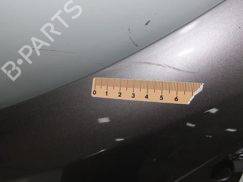 Used Left front fenders RENAULT CLIO III (BR0/1, CR0/1) 1.5 dCi (BR17, CR17) (86 hp) 28968335