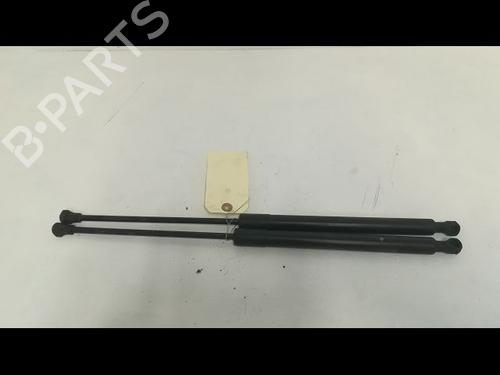 Used Tailgate lift support CITROËN C3 II (SC_) 1.4 (73 hp) 14879789