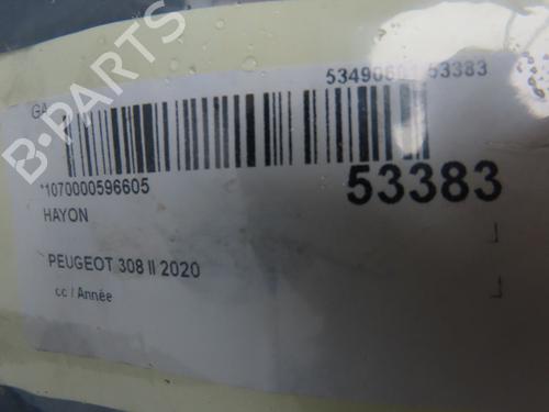 Tailgate PEUGEOT 308 II (LB_, LP_, LW_, LH_, L3_) 1.5 BlueHDI 100 | BP28969213C6 