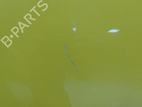 Left front door CITROËN DS3 (SA_) 1.6 HDi 110 | BP22811348C2 