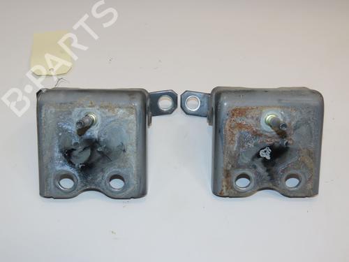 Hinge/Door check strap RENAULT KOLEOS I (HY_) 2.0 dCi 4x4 (HY0K) | BP28832207C146 