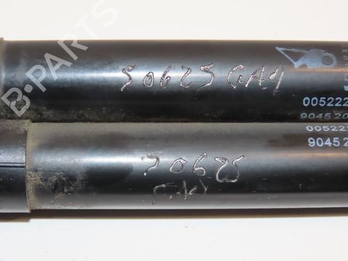 Tailgate lift support DACIA DUSTER (HS_) 1.5 dCi 4x4 (HSMC, HSMD) | BP23868976C138