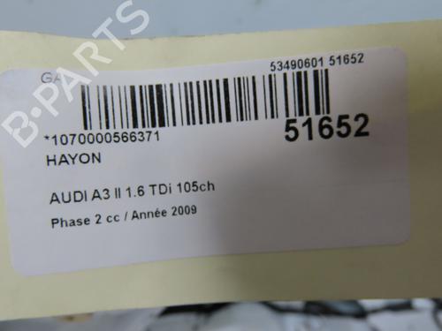Used Tailgate AUDI A3 (8P1) 1.6 TDI (105 hp) 28832153